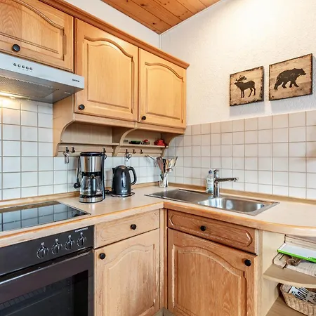 Fidelis-Buehl Muggenbrunn Apartment Todtnau Exterior photo