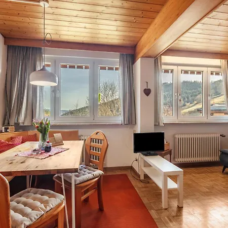 Fidelis-Buehl Muggenbrunn Apartment Todtnau Exterior photo