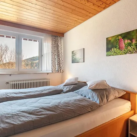 Fidelis-Buehl Muggenbrunn Apartment Todtnau Exterior photo