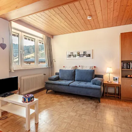 Fidelis-Buehl Muggenbrunn Apartment Todtnau Exterior photo