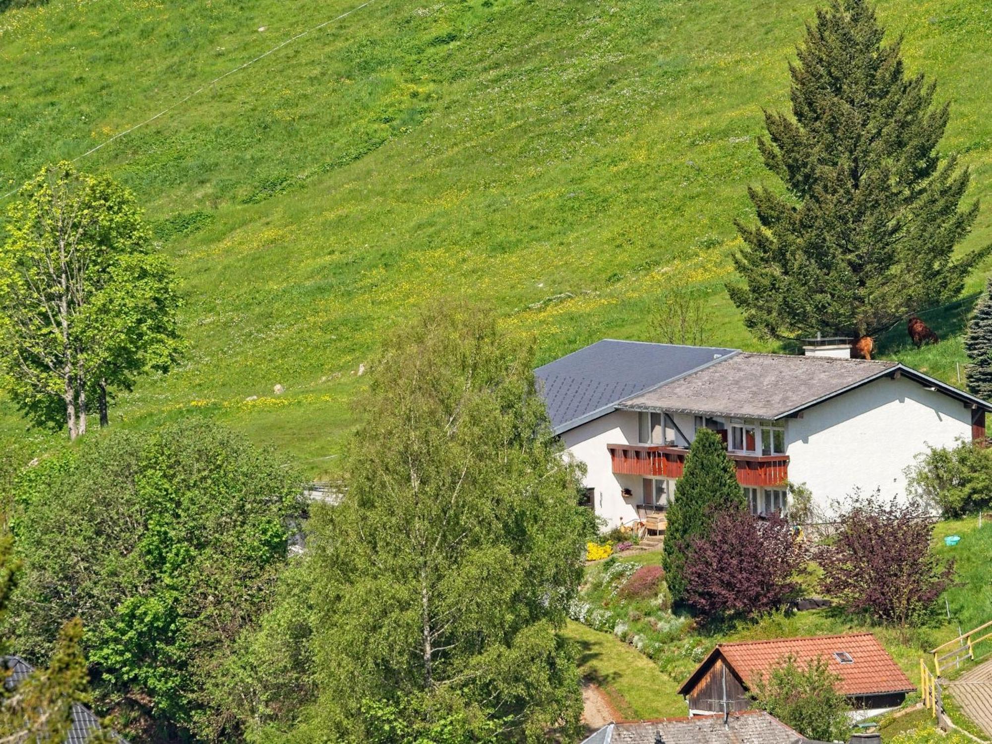 Fidelis-buehl Muggenbrunn * Todtnau